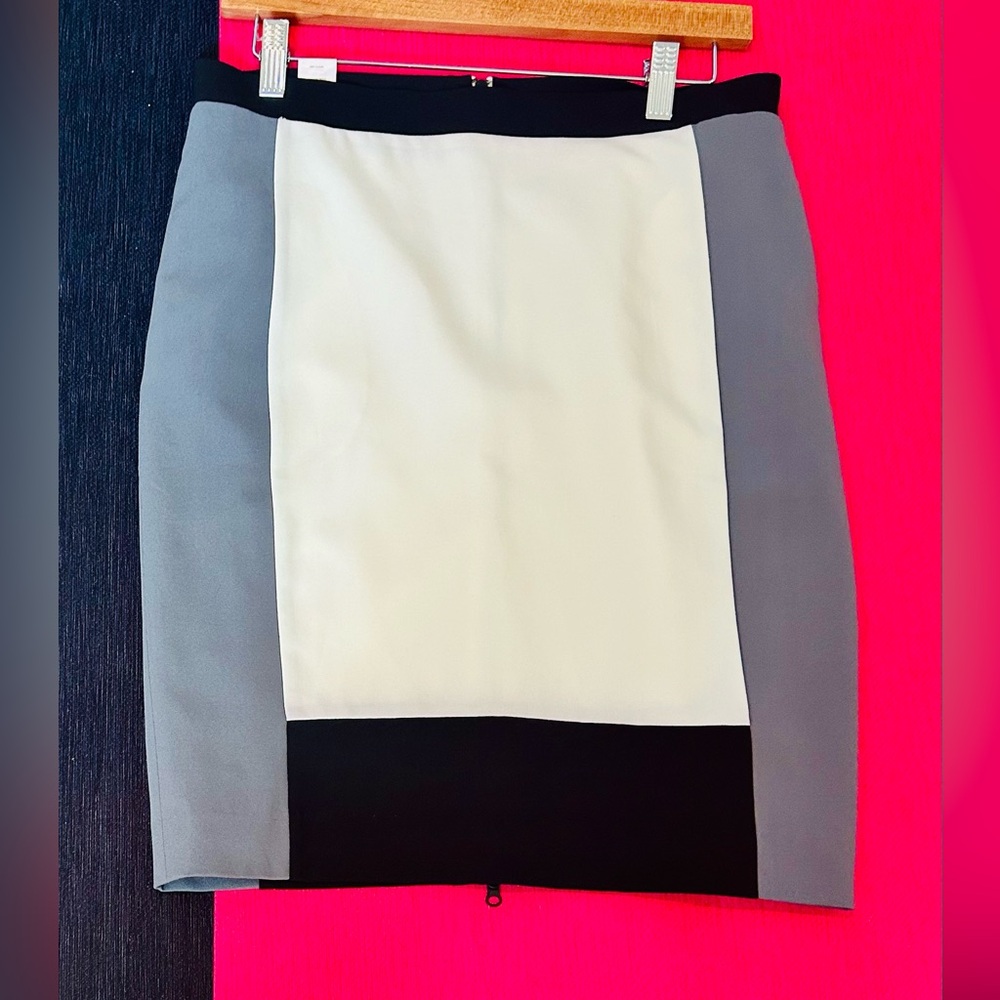 Narcisco Rodriguez for Design Nation Color-block pencil skirt size 4
